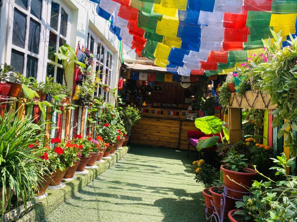 Yog Hostel Katmandu Zewnętrze zdjęcie